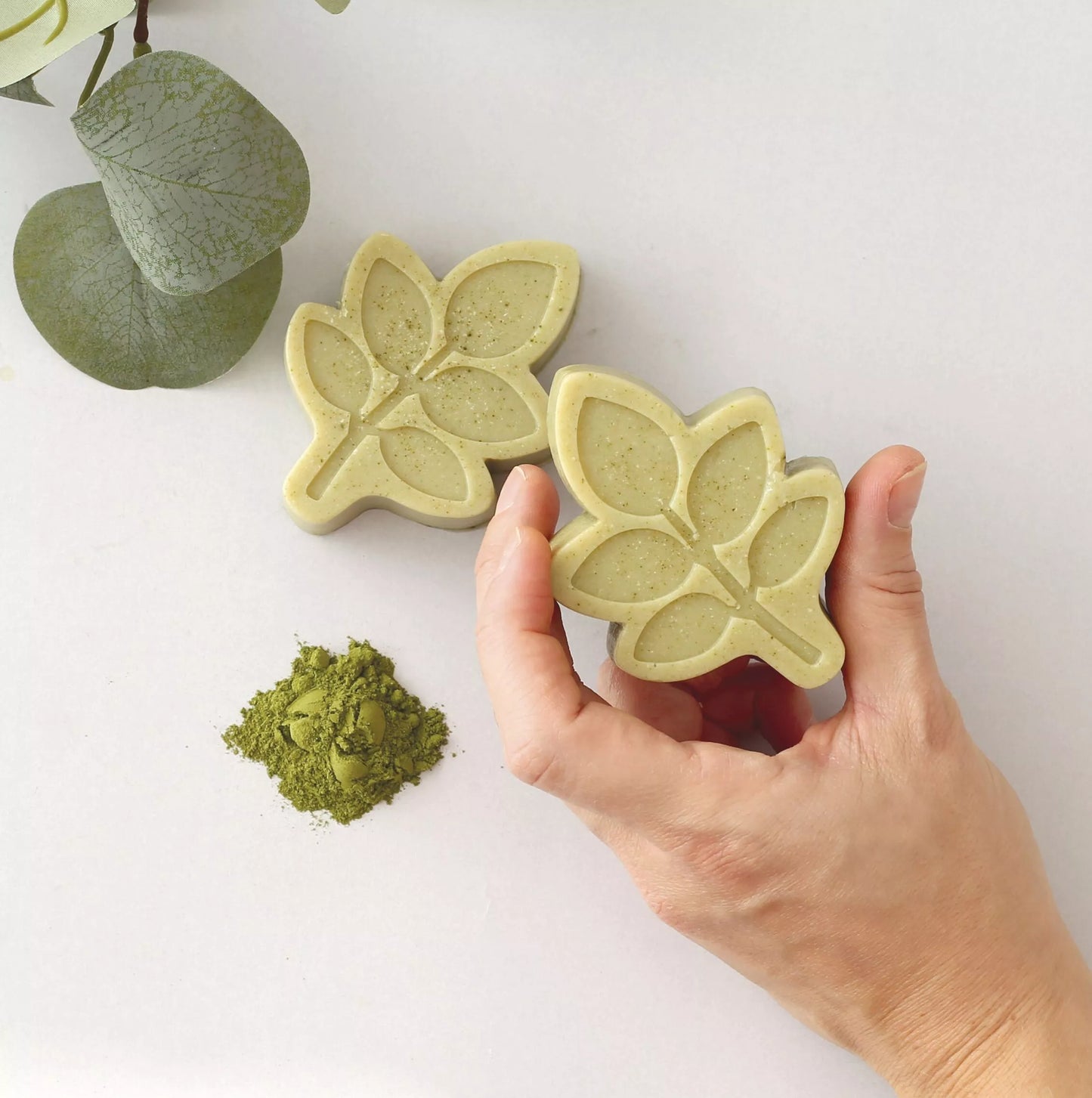 KIT DIY SAVON A LA FEUILLE DE MORINGA GRAINE CREATIVE