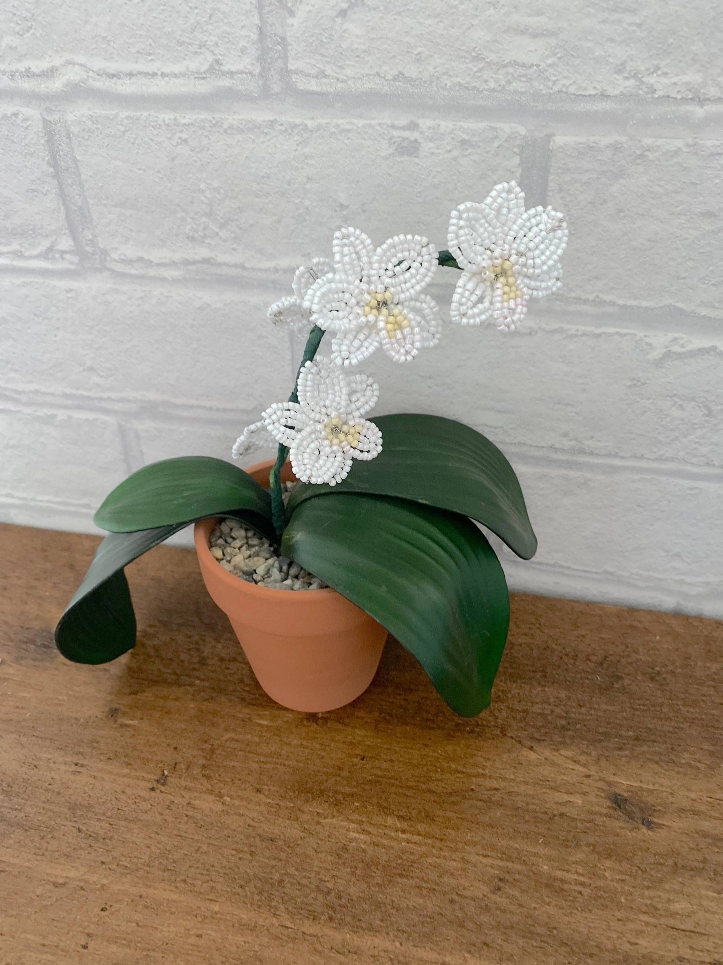 Kit de bricolage pour plantes d'orchidées pour adultes. Cadeau créatif The Beadology Shop