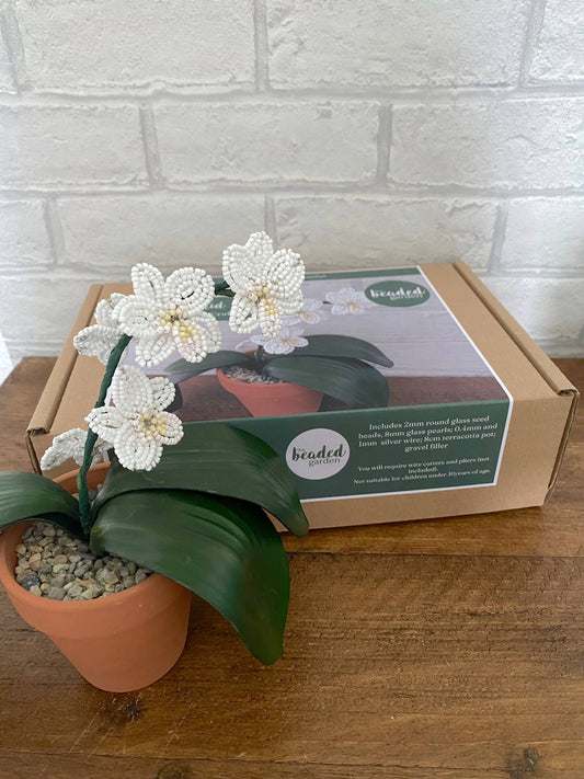 Kit de bricolage pour plantes d'orchidées pour adultes. Cadeau créatif The Beadology Shop