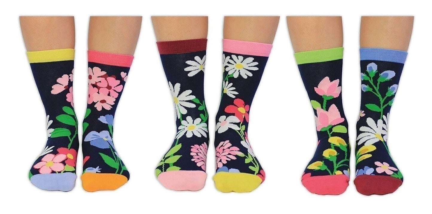 TOLLE BLUME | Geschenkset für Erwachsene mit 6 Oddsocks – United Oddsocks EUR 37–42