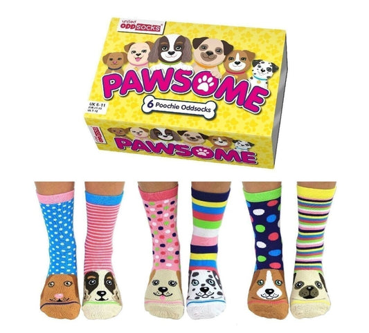 Coffret Cadeau Femme – 6 Chaussettes Dépareillées Chiens | United Oddsocks Pawome | Taille 37-42