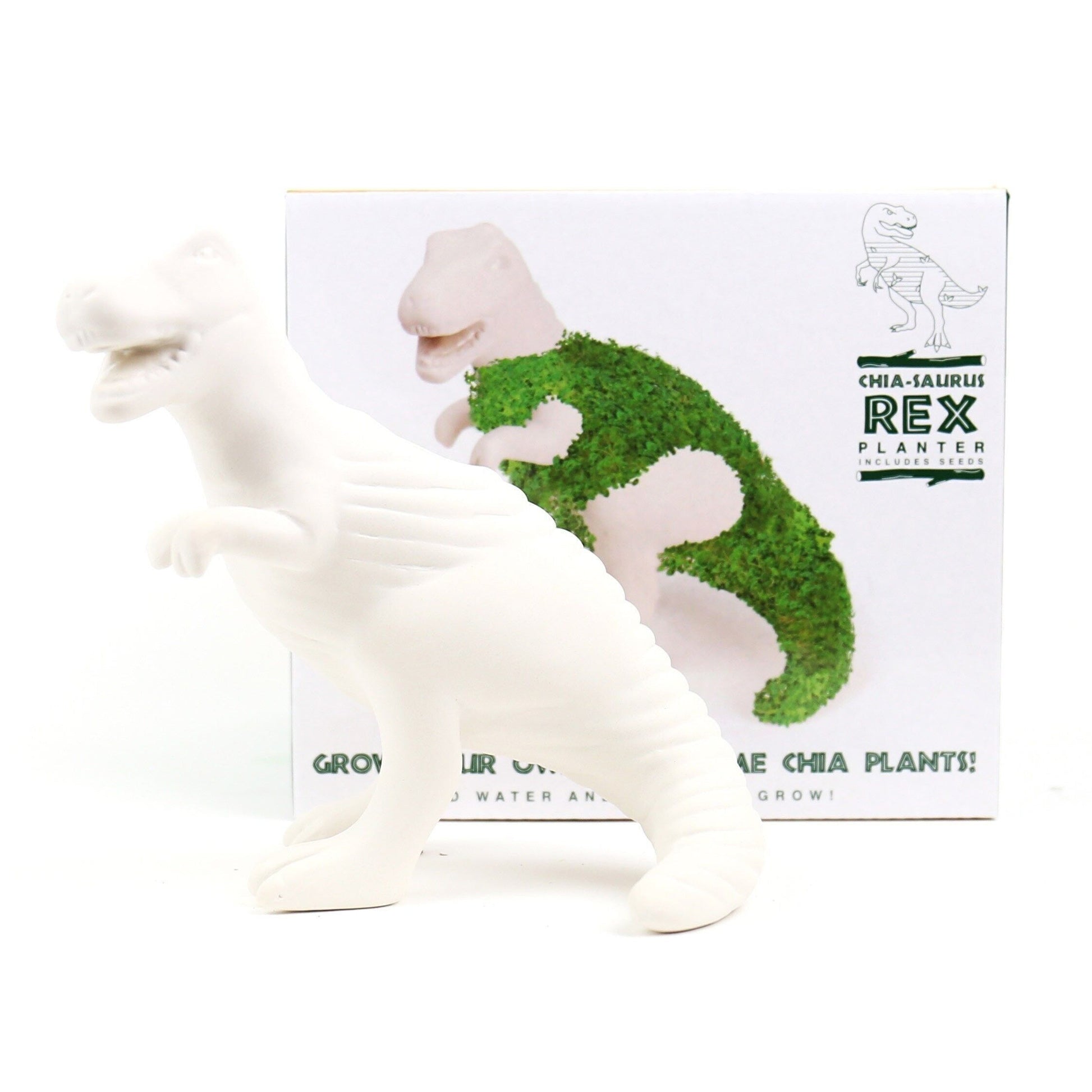 T-REX en céramique pour faire pousser des graines de chia Décoration intérieure GiftRepublic