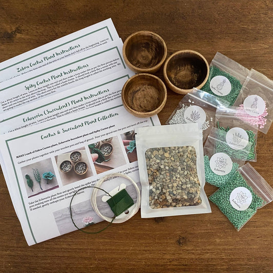 Kit de bricolage Cactus Cadeau créatif The Beadology Shop