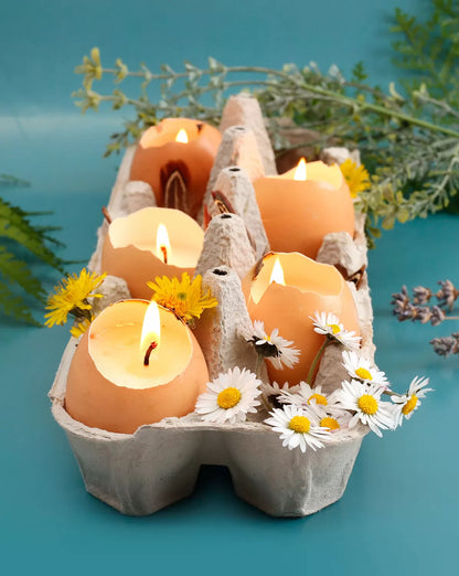 DIY Kit Candles Esprit Nature Creative Seed
