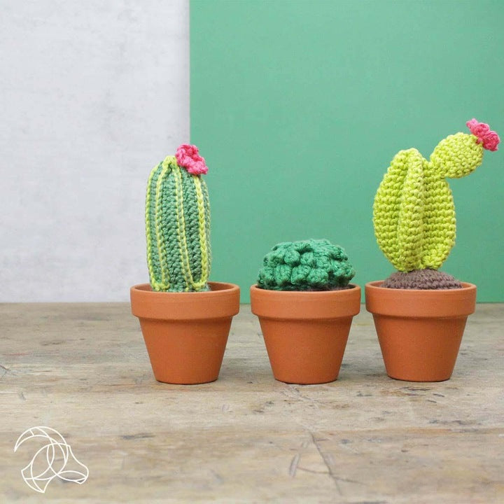 Amigurumi Cactus - Kit de crochet HardyCraft