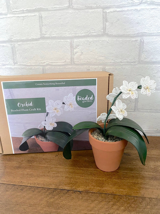Kit de bricolage pour plantes d'orchidées pour adultes. Cadeau créatif The Beadology Shop