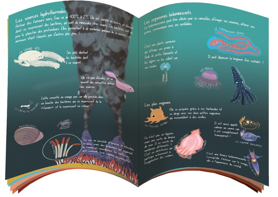 Coffret fabrication mobile poisson lanterne pour enfant + 1 livre - Kit bricolage/activité enfant