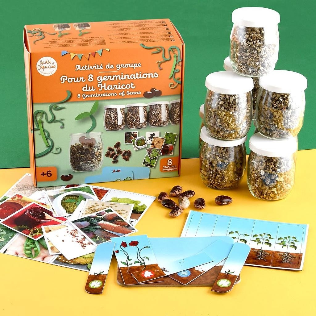 Kit Germination du Haricot – Activité Anniversaire Nature pour 8 Enfants | Made in France Radis et Capucine