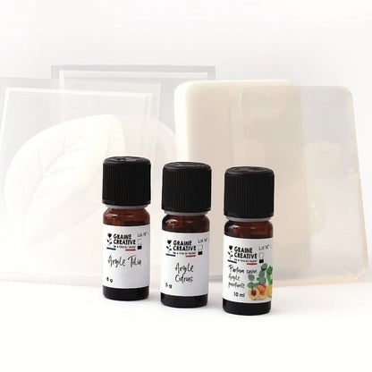 Kit DIY Savons aux Poudres d’Argiles – Graine Créative | Savons artisanaux maison GRAINE CREATIVE