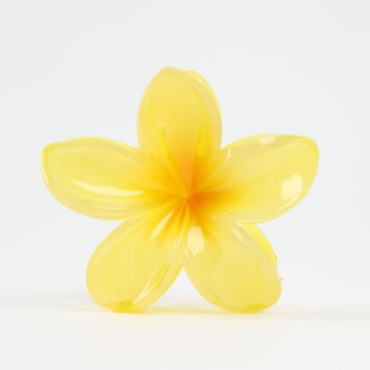 Pince à cheveux fleur vanille Grande pince crabe élégante et naturelle JOY!