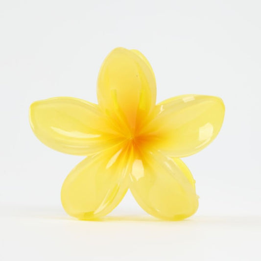 Pince à cheveux fleur vanille Grande pince crabe élégante et naturelle JOY!