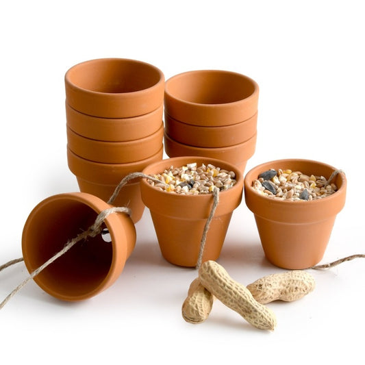 Kit Créatif Mangeoire à Oiseaux – Activité Anniversaire Nature pour 10 Enfants Radis et Capucine