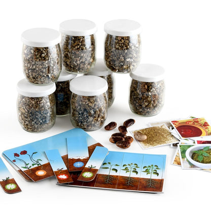 Kit Germination du Haricot – Activité Anniversaire Nature pour 8 Enfants | Made in France Radis et Capucine