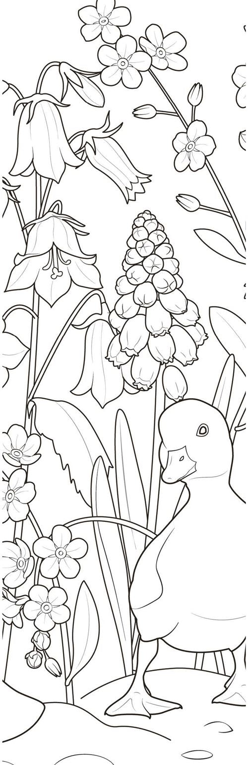 Marque-pages à l’aquarelle Fleurs des champs – Kit créatif peinture nature Editions Marabout