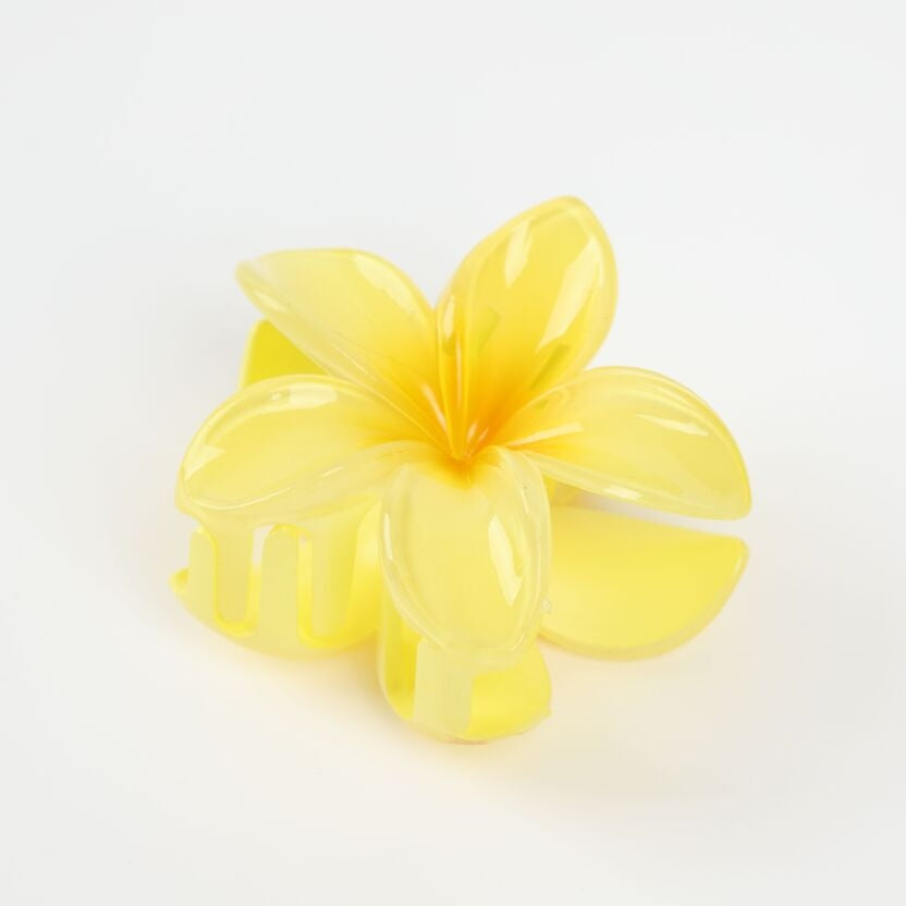 Pince à cheveux fleur vanille Grande pince crabe élégante et naturelle JOY!