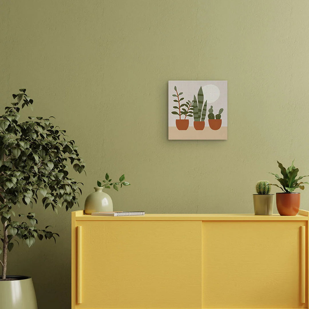 Mini Peinture par Numéros 20x20cm avec cadre Plantes grasses Figured'art