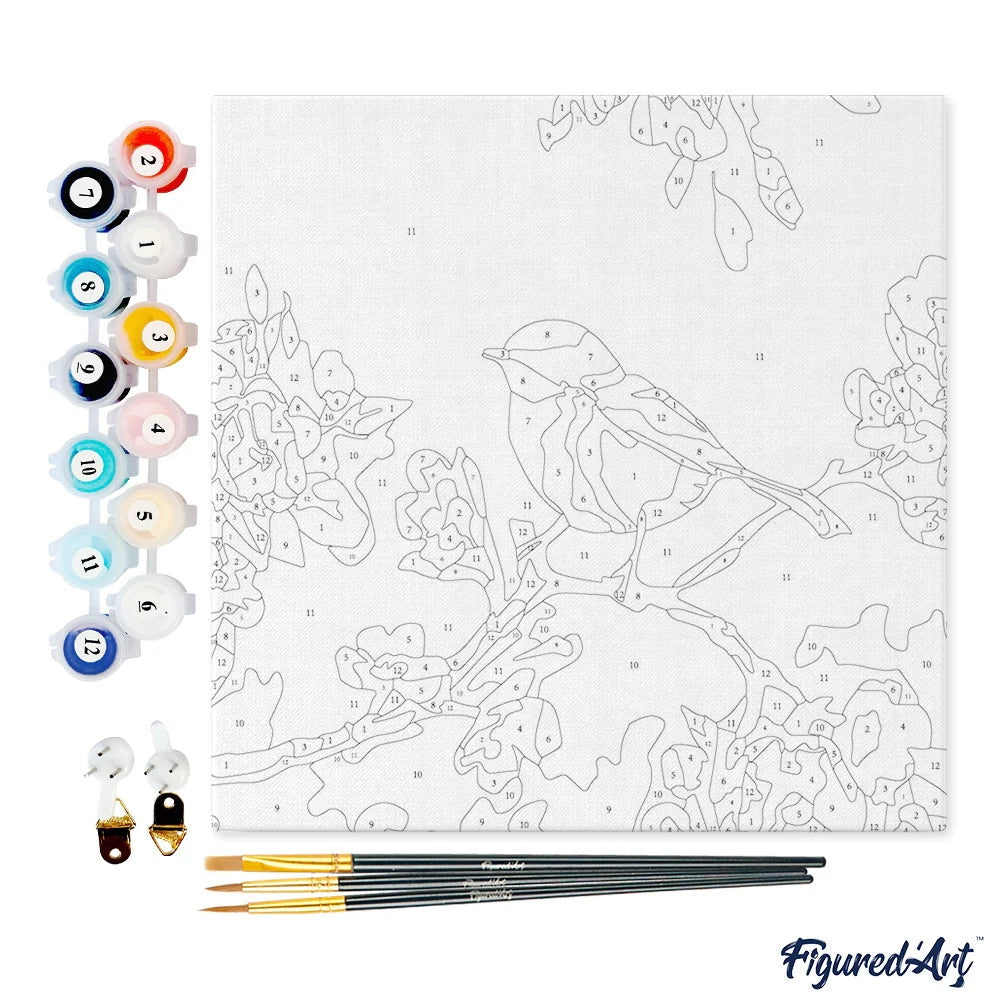 Mini Peinture par Numéros avec cadre Oiseau Figured'art