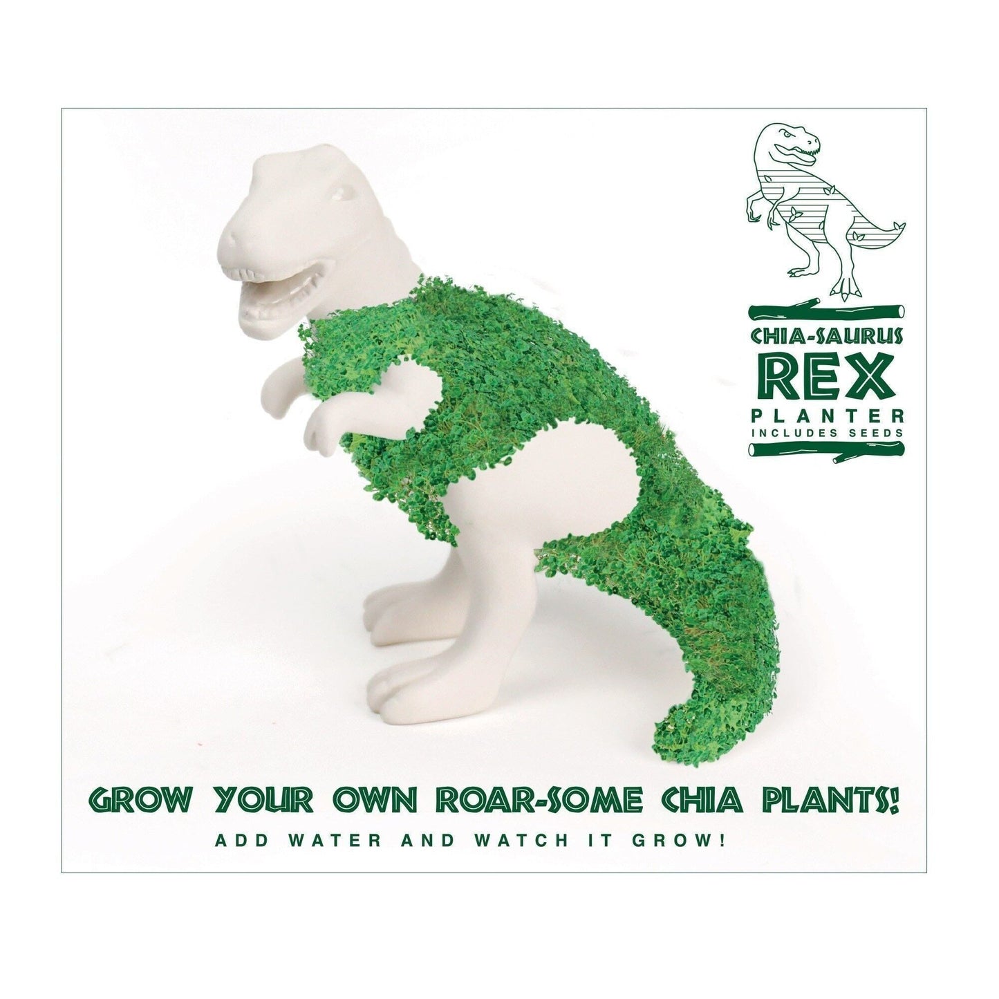 T-Rex en céramique avec graines de chia | Chia Saurus Rex – Déco & jardinage ludique GiftRepublic