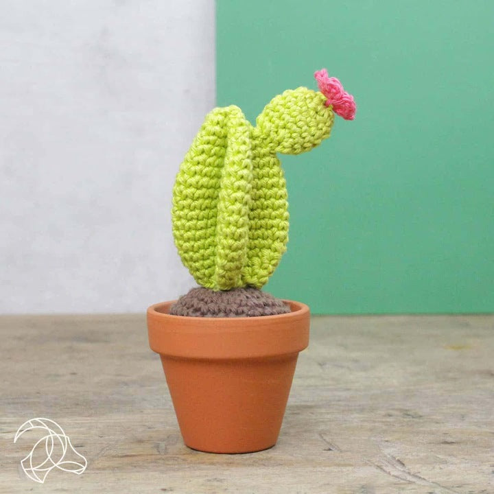 Amigurumi Cactus - Kit de crochet HardyCraft