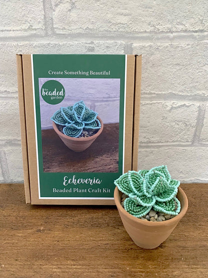 Beaded Craft Kit - Succulent Echeveria. A creative gift idea.