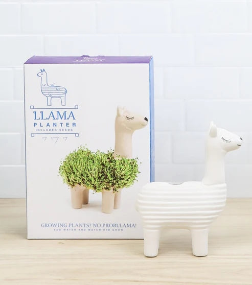 Lama en céramique pour faire pousser des graines de chia Décoration intérieure GiftRepublic