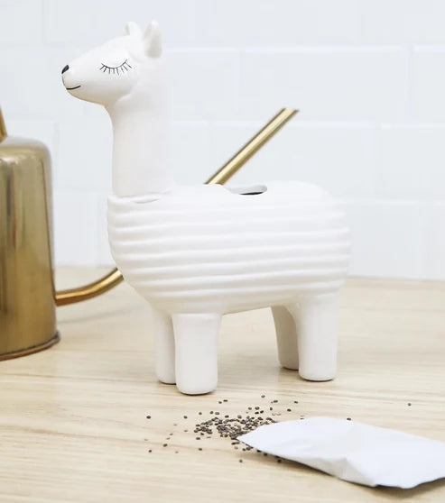 Lama en céramique pour faire pousser des graines de chia Décoration intérieure GiftRepublic