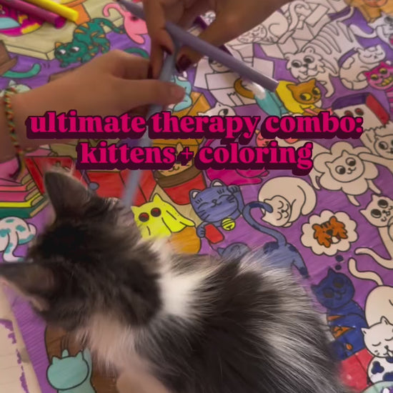 Vidéo du poster géant à colorier Kitty Kawaii OMY, chats kawaii à colorier, format 70 × 100 cm pour enfants