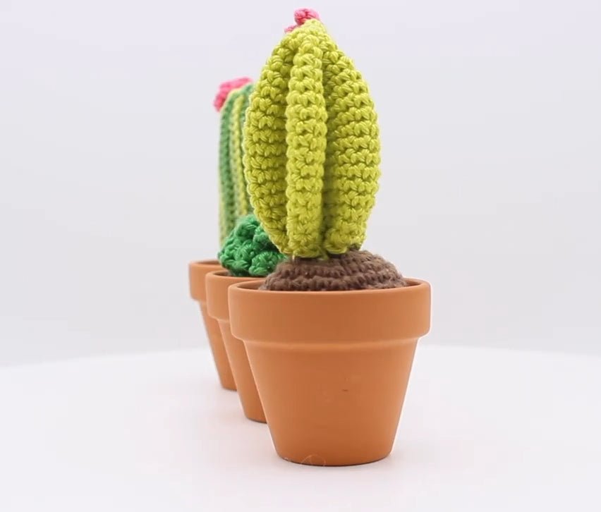 Amigurumi Cactus - Kit de crochet-JOY - Concept Store 