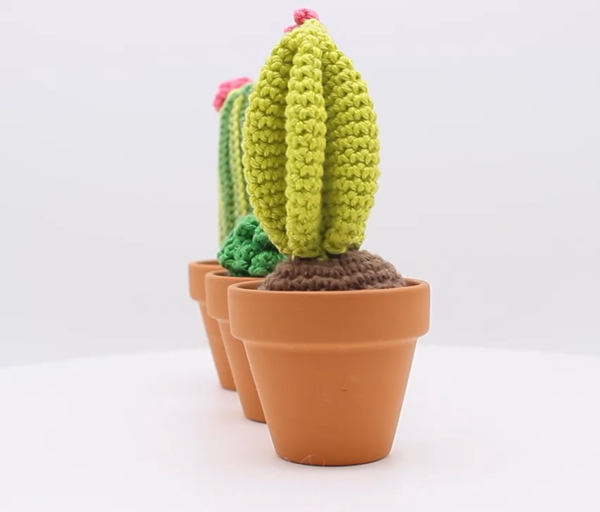 Amigurumi Cactus - Kit de crochet HardyCraft