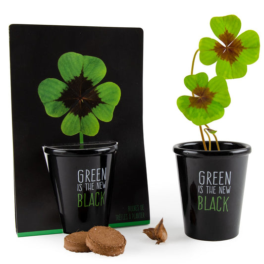 Black planting kit - 4-leaf clover, radish and nasturtium