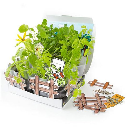 Coffret Mini Potager Radis et Capucine Radis et Capucine