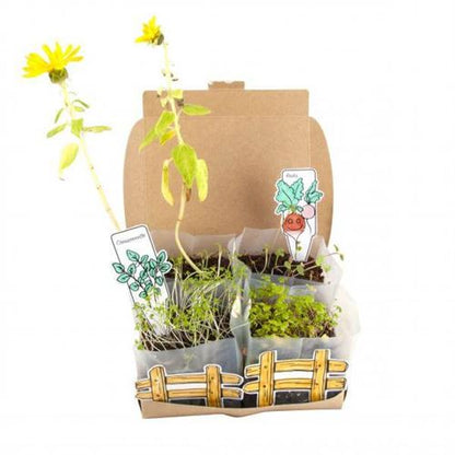Coffret Mini Potager Radis et Capucine Radis et Capucine