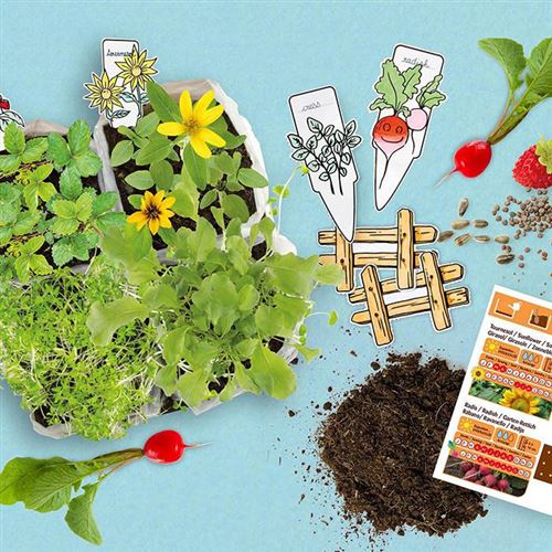 Coffret Mini Potager – Radis et Capucine 🌱 Kit de jardinage pour enfants Radis et Capucine